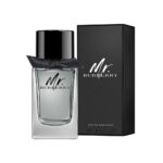 Burberry Mr. Burberry Eau de Toilette - 100ml