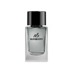 Burberry Mr. Burberry Eau de Toilette - 100ml