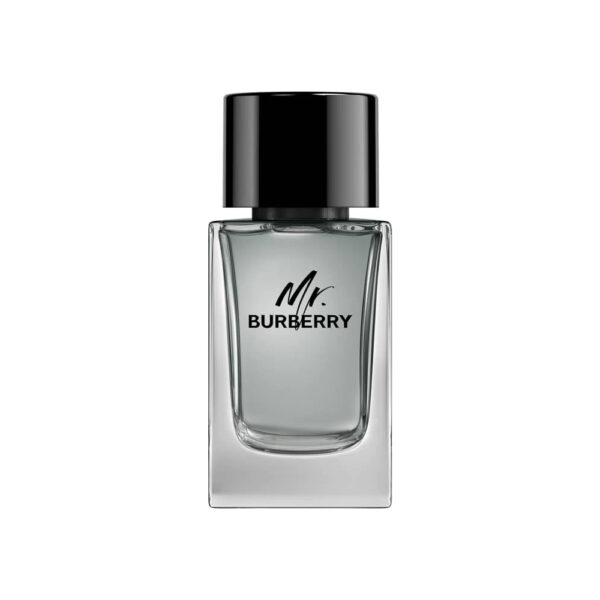 Burberry Mr. Burberry Eau de Toilette - 100ml